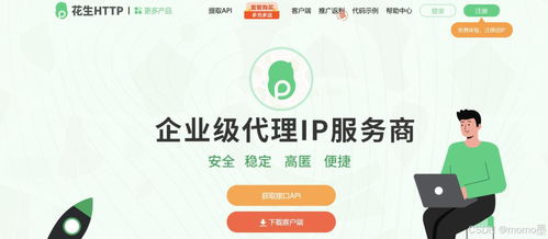 智能化選擇 長效代理IP與票務代理服務器分析指南